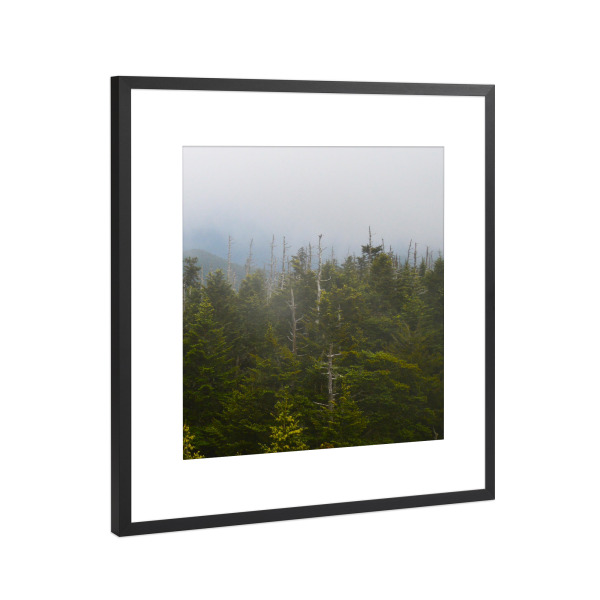 Poster mit Rahmen Schwarz (Metallic) "Smokies Triptychon right" artboxONE - Natur,Reise,Reise / Länder