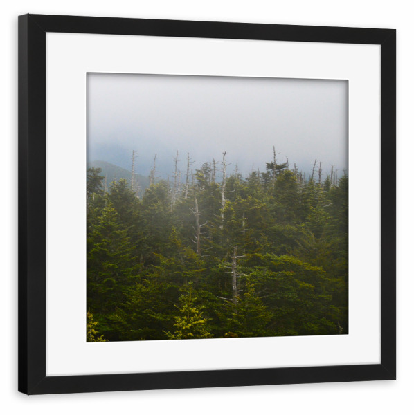 Poster mit Rahmen schwarz "Smokies Triptychon right" artboxONE - Natur,Reise,Reise / Länder