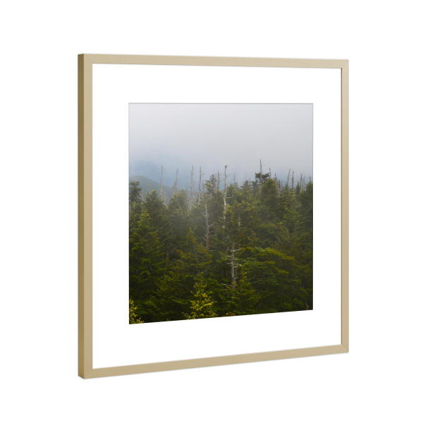 Poster mit Rahmen Gold "Smokies Triptychon right" artboxONE - Natur,Reise,Reise / Länder