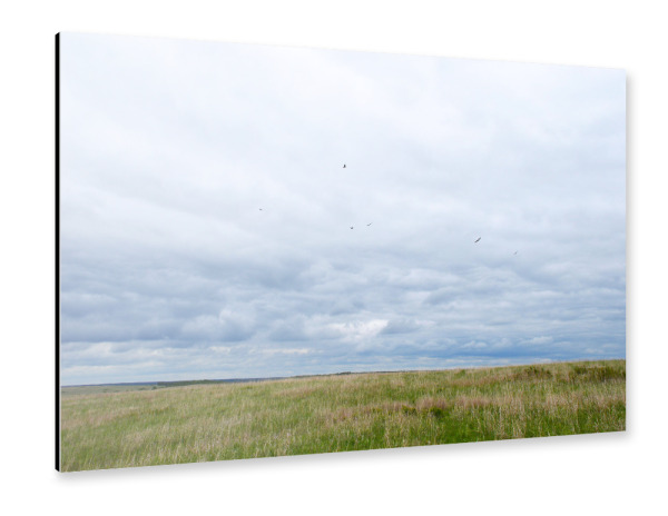 Alu-Dibond "In der Prärie" 30x20 cm artboxONE