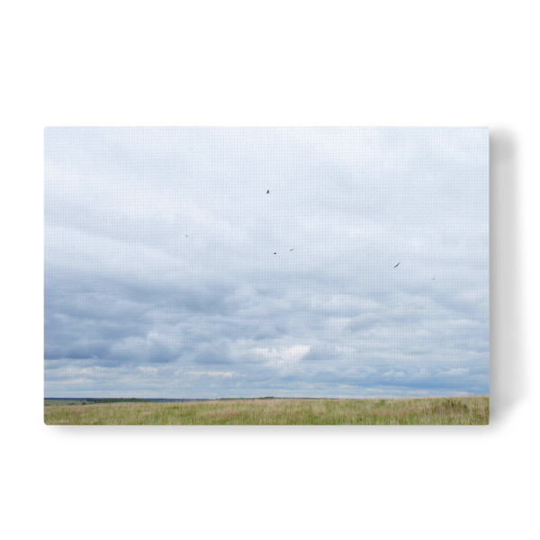 Leinwandbild "In der Prärie" artboxONE - Natur,Reise,Reise / Länder