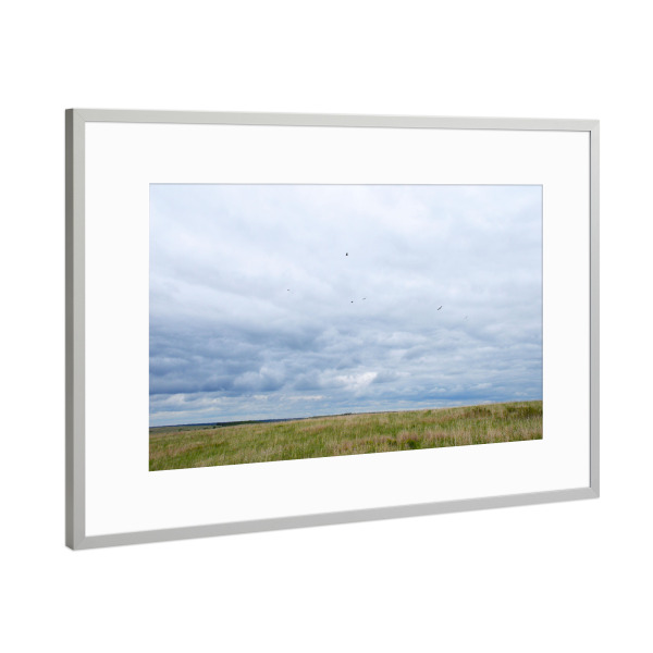 Poster mit Rahmen Silber "In der Prärie" artboxONE - Natur,Reise,Reise / Länder
