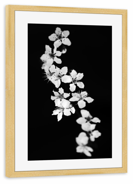 Poster mit Rahmen kiefer "Blumen black & white" artboxONE - Natur,Floral,Schwarzweiß
