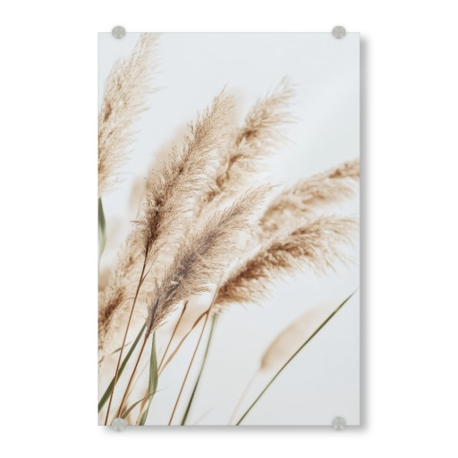 Beige Reed Plants