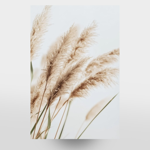 Beige Schilfpflanzen Beige Schilfpflanzen
