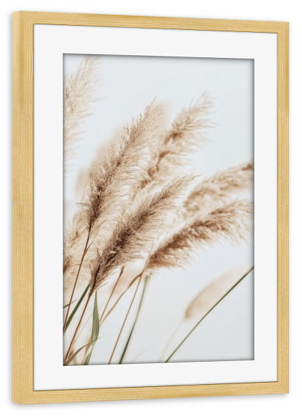 Poster mit Rahmen kiefer "Beige Schilfpflanzen" artboxONE - Natur,Floral - Beige,Schilf,Pflanze,Boho,Bohemian,Natur