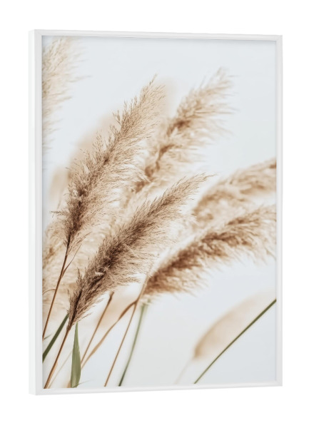 Poster mit weißem Rahmen "Beige Schilfpflanzen" artboxONE - Natur,Floral - Beige,Schilf,Pflanze,Boho,Bohemian,Natur