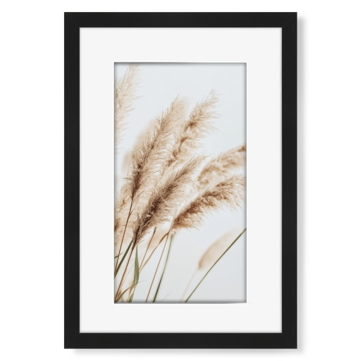 Beige Schilfpflanzen