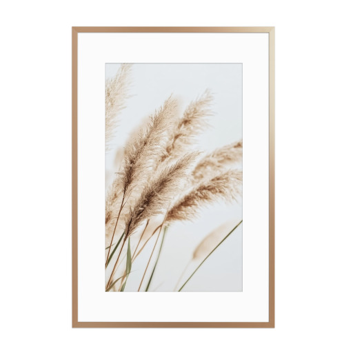 Beige Schilfpflanzen