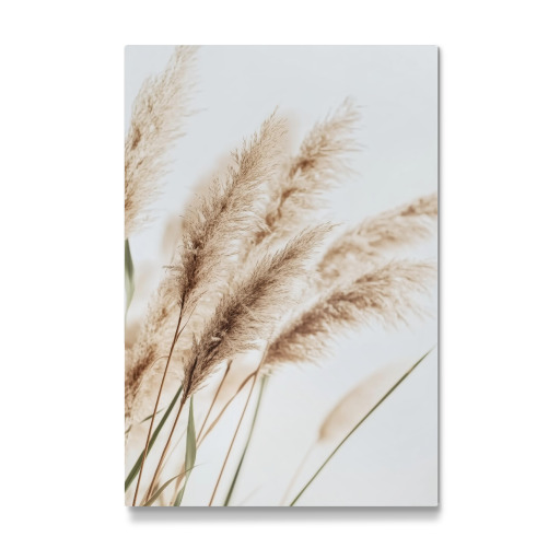 Beige Reed Plants