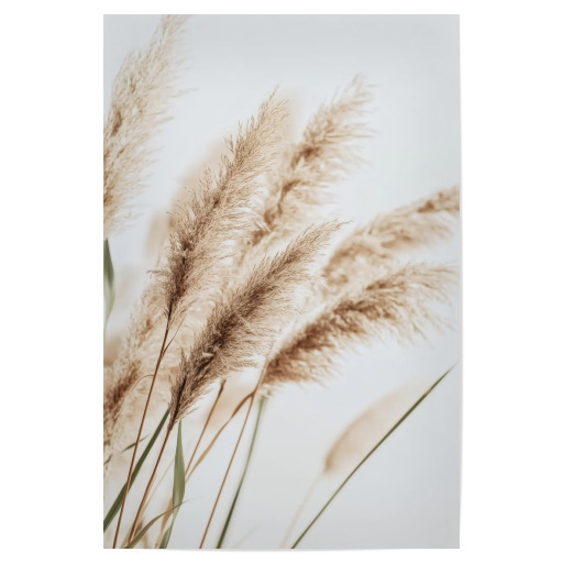 Beige Schilfpflanzen