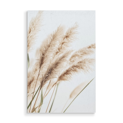 Beige Schilfpflanzen Beige Schilfpflanzen