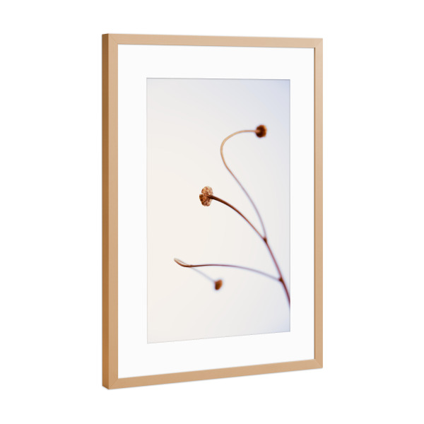 Poster mit Rahmen Kupfer "Aus aktuellem Anlass (8)" artboxONE - Natur,Floral,Für Kinder,Für Mama,Für Papa