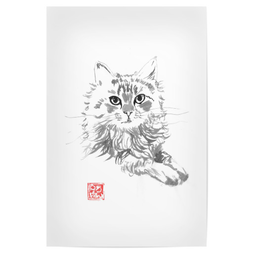 Andere wütende Katze