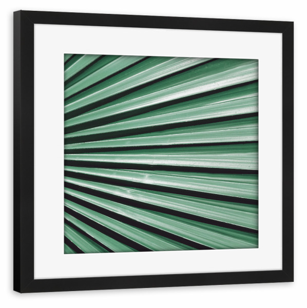 Poster mit Rahmen schwarz "Blasse Palme" artboxONE - Natur,Floral
