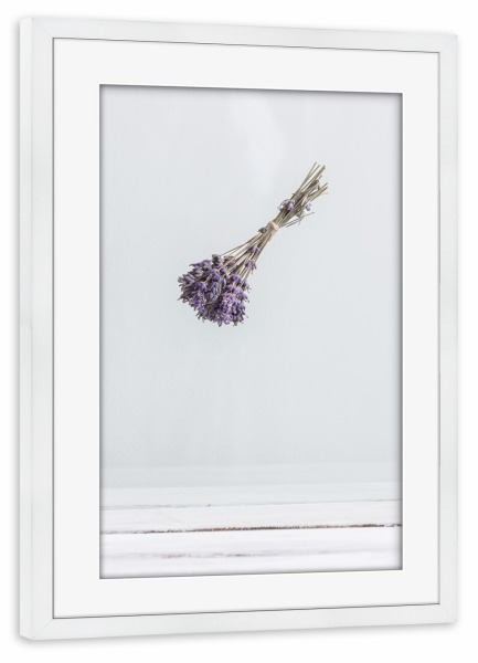 Poster mit Rahmen weiß "Lavendel - schwebend" artboxONE - Floral - Lavendel,Weiß,Kunst,Minimalistisch,Fotografie,Blumen,Pflanzen