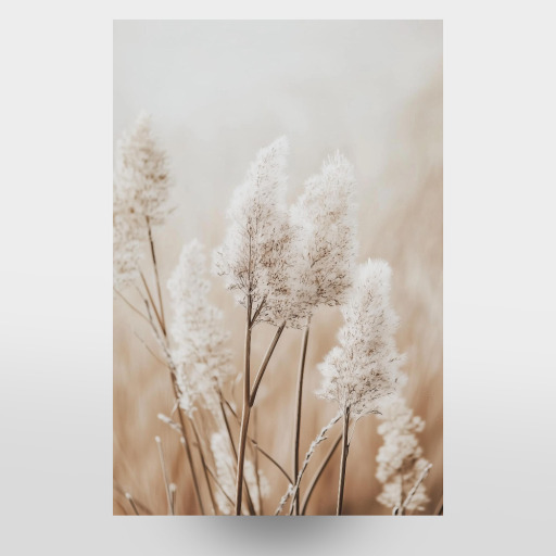 Beige Pampas Grass