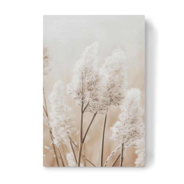 Leinwandbild "Beigefarbenes Pampasgras" artboxONE - Natur,Reise,Floral,Reise / Strand und Meer - Beige,Pampas,Gras,Natur,Pflanze,Floral
