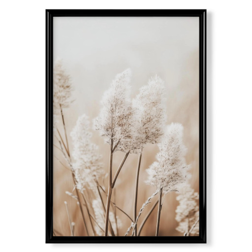 Beige Pampas Grass