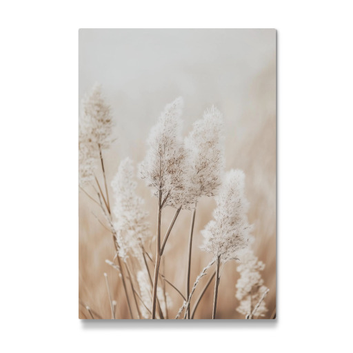 Beigefarbenes Pampasgras