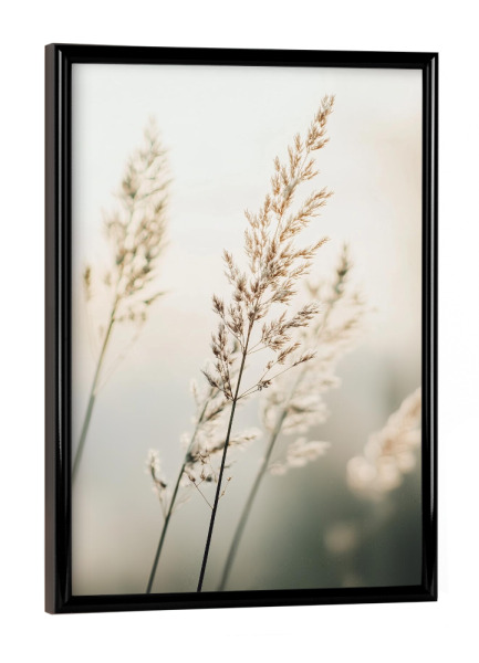 Poster mit schwarzem Rahmen "Verträumtes Pampasgras" artboxONE - Natur,Reise,Floral - Verträumtes pampasgras,Floral,Pampas,Gras,Blumen