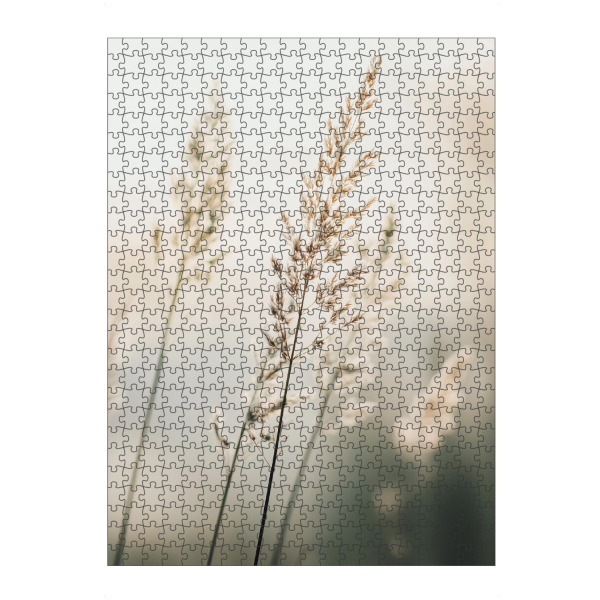 artboxONE Puzzle "Verträumtes Pampasgras" artboxONE - Natur,Reise,Floral - Verträumtes pampasgras,Floral,Pampas,Gras,Blumen
