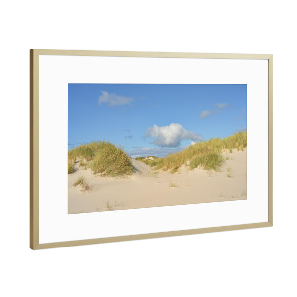 Poster mit Rahmen Gold "Dünen an der Nordseeküste" artboxONE - Natur,Reise,Reise / Strand und Meer