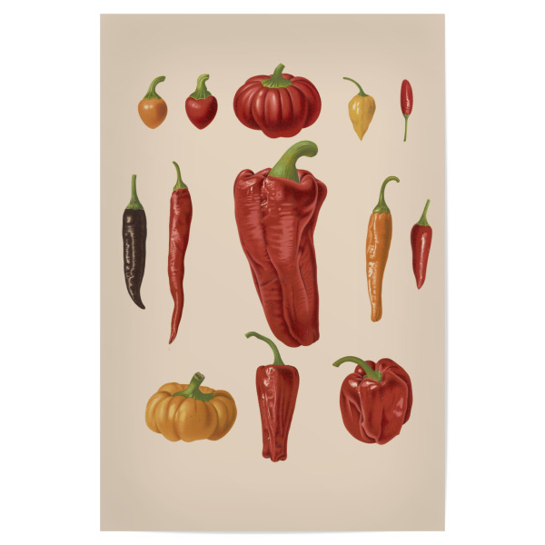 Poster 30x20 cm "Botanical illustration" artboxONE - Natur,Essen & Trinken / Obst & Gemüse