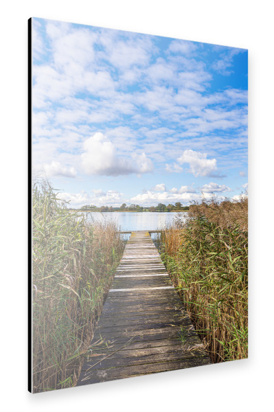 Alu-Dibond "Steg und Schilf in Serrahn" 30x20 cm artboxONE