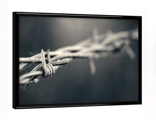 Poster mit schwarzem Rahmen "Drahtverlauf" artboxONE - Schwarzweiß