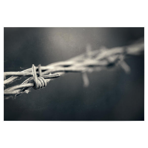 Poster 30x20 cm "Drahtverlauf" artboxONE - Schwarzweiß