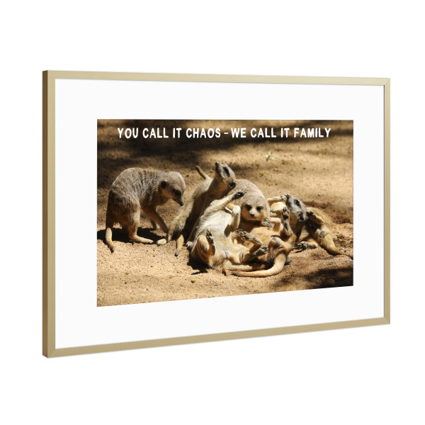 Poster mit Rahmen Gold "Erdmännchen – We call it Family" artboxONE - Typografie,Für Kinder,Tiere,Liebe,Lustig