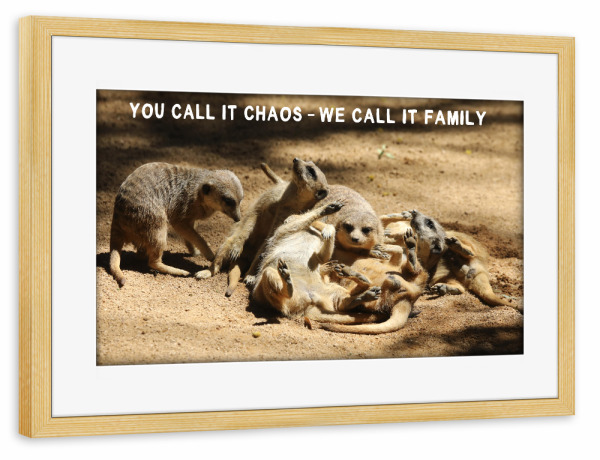 Poster mit Rahmen kiefer "Erdmännchen – We call it Family" artboxONE - Typografie,Für Kinder,Tiere,Liebe,Lustig