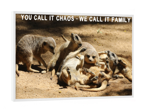 Poster mit weißem Rahmen "Erdmännchen – We call it Family" artboxONE - Typografie,Für Kinder,Tiere,Liebe,Lustig