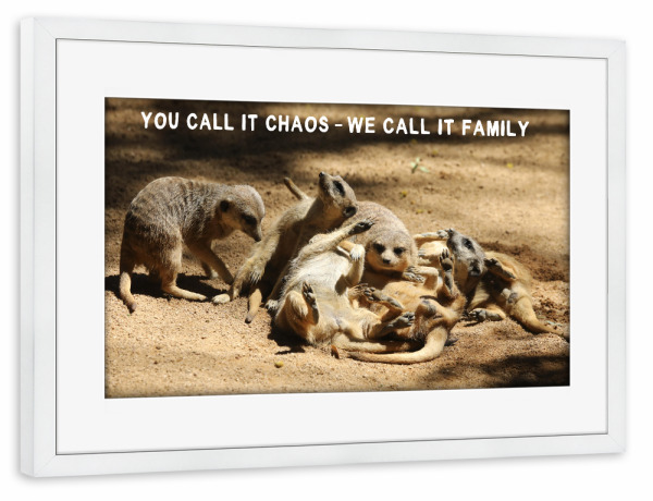 Poster mit Rahmen weiß "Erdmännchen – We call it Family" artboxONE - Typografie,Für Kinder,Tiere,Liebe,Lustig