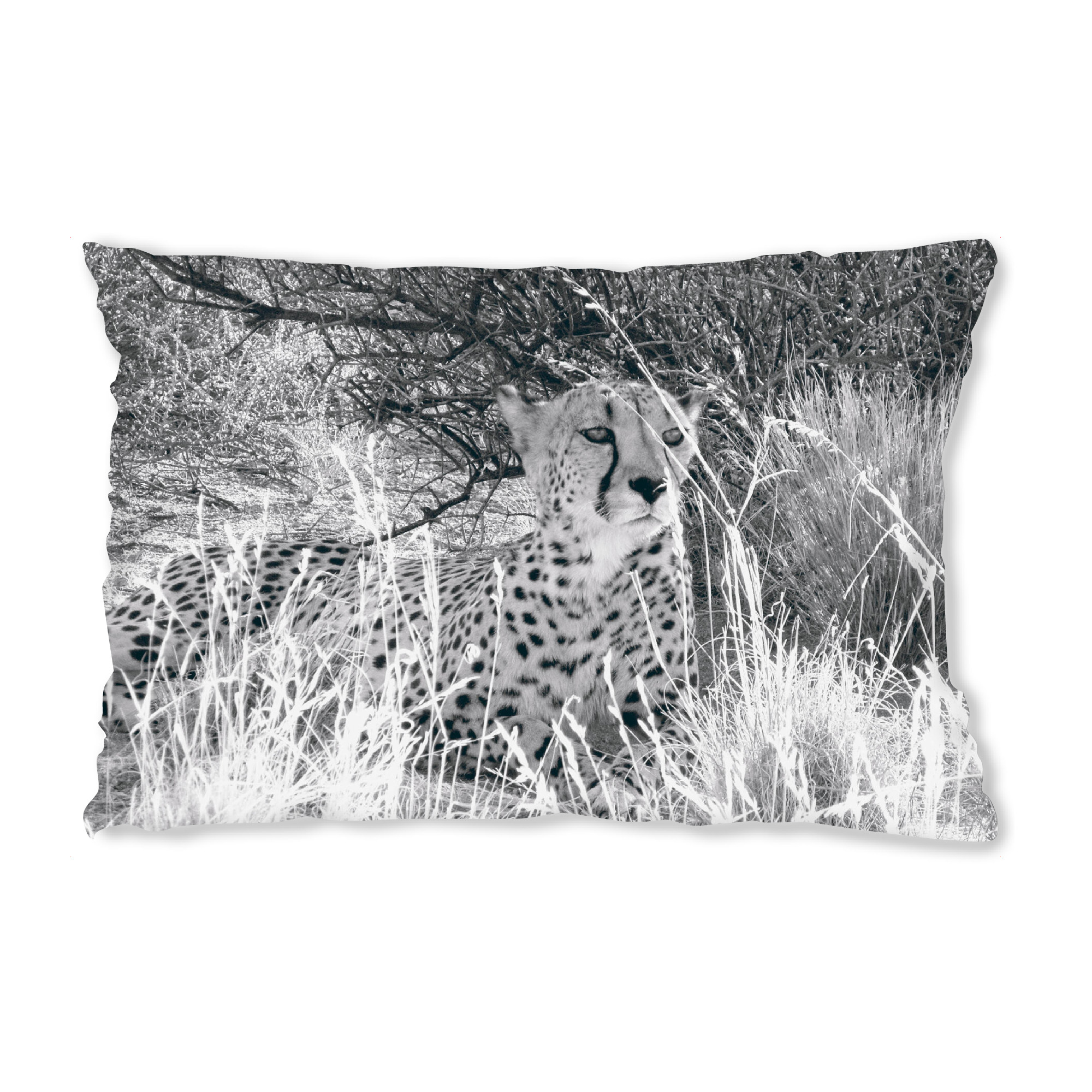 Design-Kissen "Cheetah Lying in Shade" artboxONE - Natur,Reise,Tiere,Schwarzweiß,Reise / Afrika