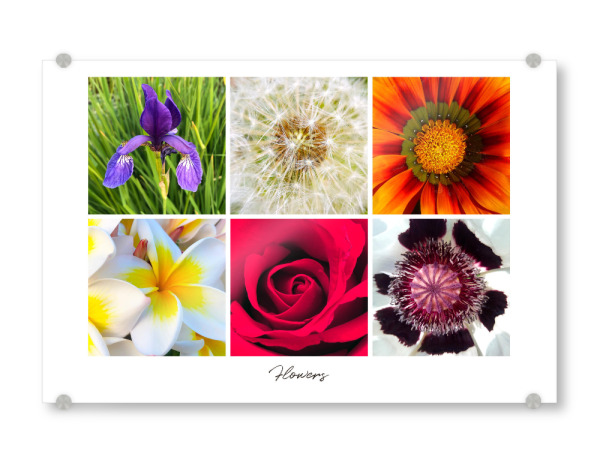 Acrylglasbild "Flowers Collage" artboxONE - Reise,Floral,Reise / Länder,Für Mama