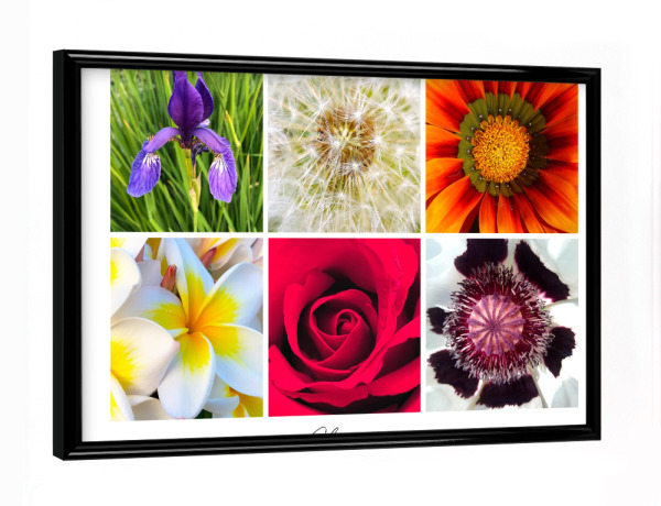 Poster mit schwarzem Rahmen "Flowers Collage" artboxONE - Reise,Floral,Reise / Länder,Für Mama