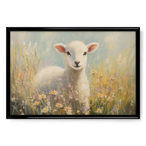 Baby Lamb in Field