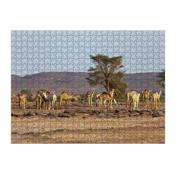 Puzzle Ravensburger "Die Kamele in der Sahara" artboxONE - Natur,Tiere - Wüste,Sahara,Kamele,Algerien,Düne,Sand,Sanddüne - Bild wüste