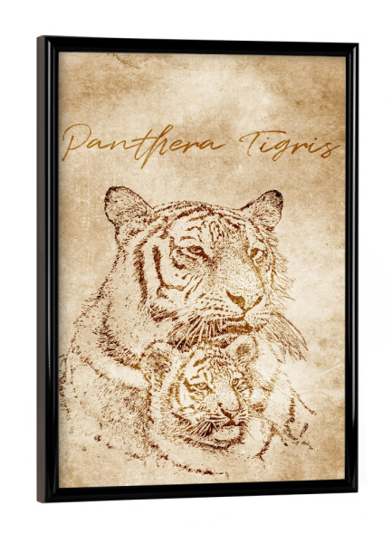 Poster mit schwarzem Rahmen "Tiger vintage" artboxONE - Reise,Tiere,Reise / Asien,Reise / Länder