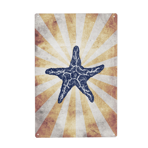 Metall Poster "Starfish Seestern" artboxONE - Tiere,Unterwasser