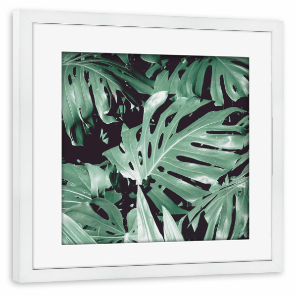 Poster mit Rahmen weiß "Blasse Monstera" artboxONE - Natur,Floral