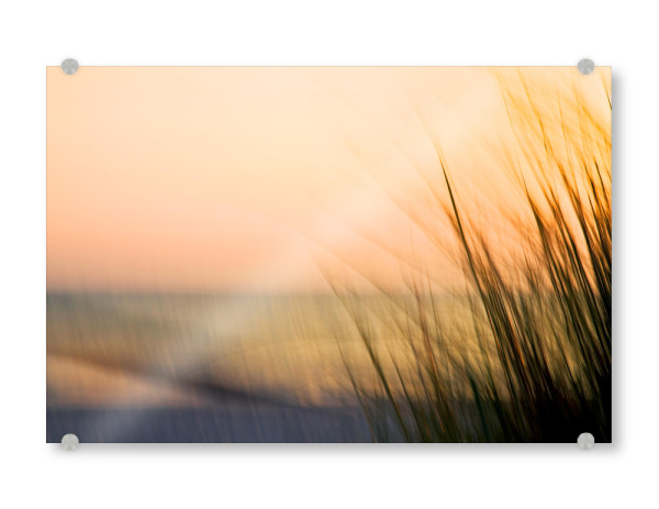 Acrylglasbild "Dünengras" artboxONE - Natur,Reise / Strand und Meer - Meer,Ostsee,Küste,Düne,Gras,Abendlicht