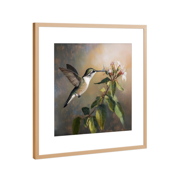 Poster mit Rahmen Kupfer "Eleganz der Kolibris" artboxONE - Natur,Floral,Tiere