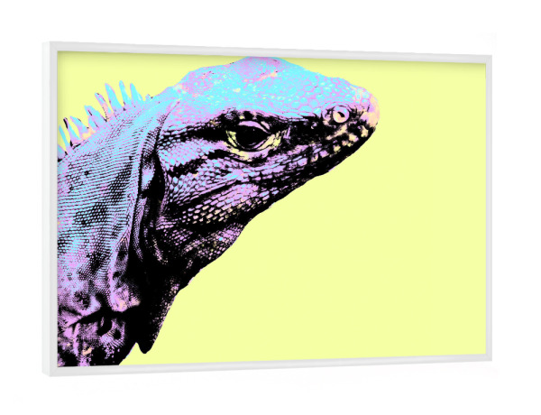 Poster mit weißem Rahmen "Leguan Pop Art" artboxONE - Natur,Reise,Tiere,Reise / Länder