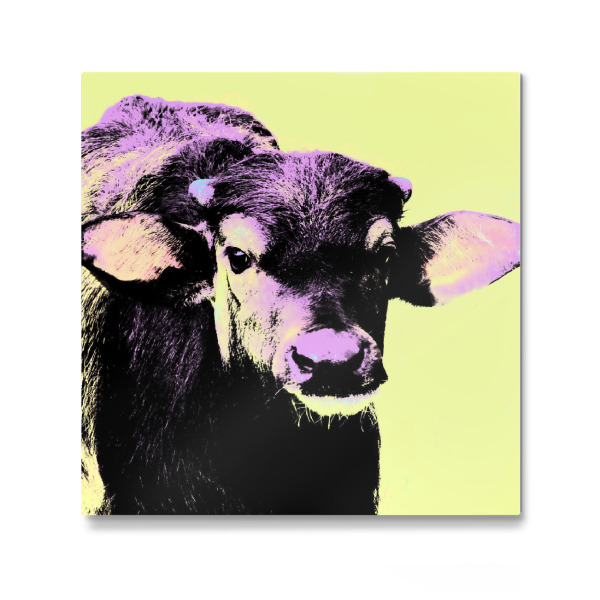 Galerie-Print "Buffalo Pop Art" 30x30 cm artboxONE