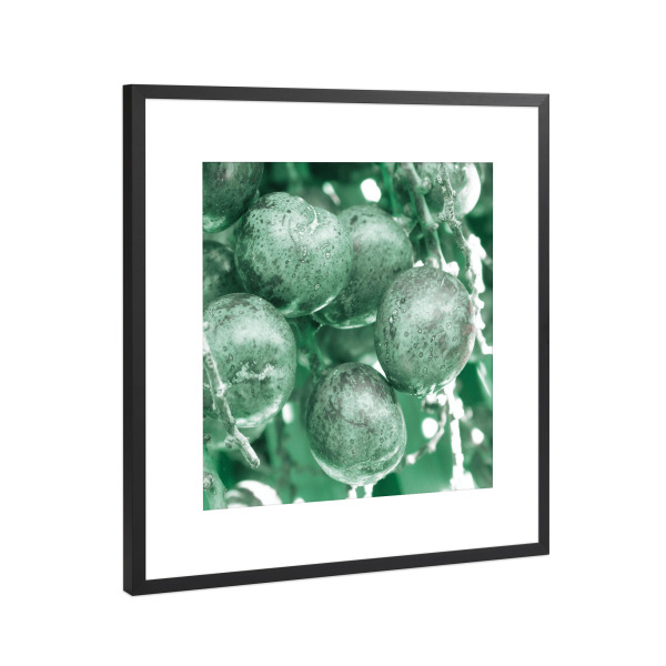 Poster mit Rahmen Schwarz (Metallic) "Pale Green Dates" artboxONE - Natur,Reise,Floral