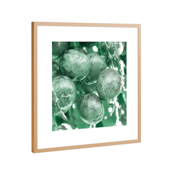 Poster mit Rahmen Kupfer "Pale Green Dates" artboxONE - Natur,Reise,Floral