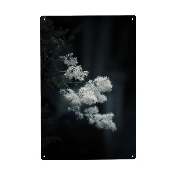 Metall Poster "Weiße Sanftheit" artboxONE - Floral